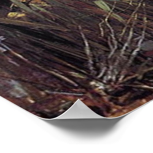 Dame van Shalott Canvas Print (Hoek)