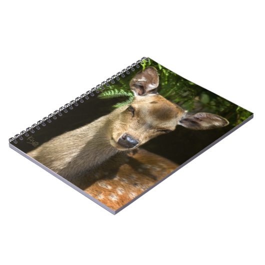 Damefallnotebook Notitieboek (Linkerzijde)