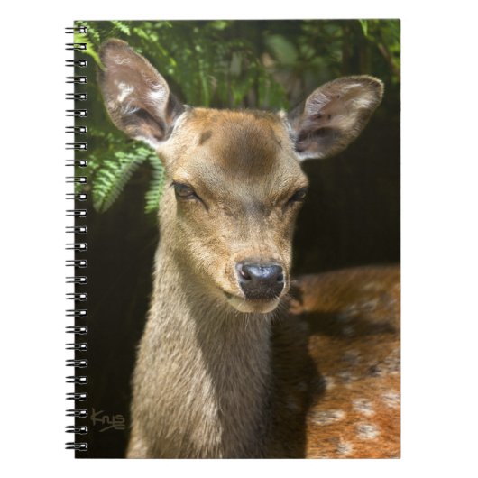Damefallnotebook Notitieboek (Voorkant)