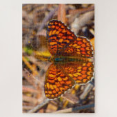 Damero Knapweed Butterfly. Legpuzzel (Verticaal)