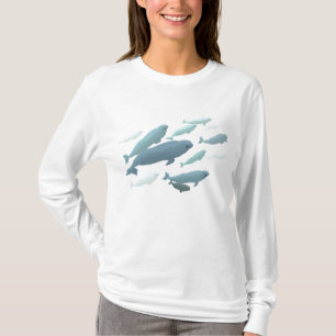 Dames Beluga Whale Hoodie T-shirt met capuchon