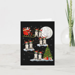 Dames Border Collie Hond Kerstman slee vliegend Gr Kaart