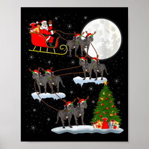 Dames Cane Corso Hond Sinterklaas slee vliegend gr Poster