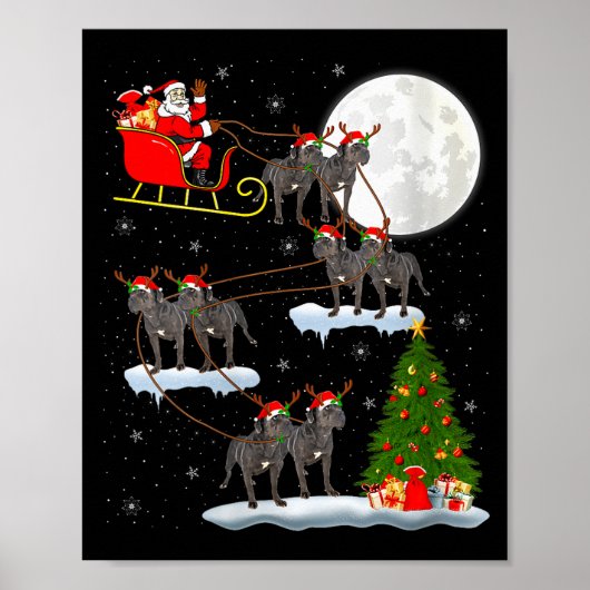 Dames Cane Corso Hond Sinterklaas slee vliegend gr Poster (Voorkant)