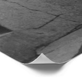 Dames dag honkbalventilatoren, jaren 20 poster (Hoek)