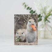 Dames die Briefkaart overlopen (Staand voorkant)