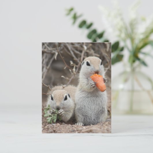 Dames die Briefkaart overlopen (Staand voorkant)