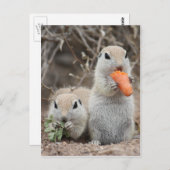 Dames die Briefkaart overlopen (Voorkant / Achterkant)