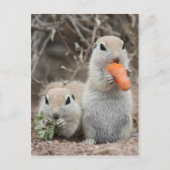 Dames die Briefkaart overlopen (Voorkant)