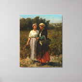 dames die druiven prikken canvas afdruk (Voorkant)