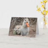 Dames die Lunch Wenskaart Kaart (Gele Bloem)