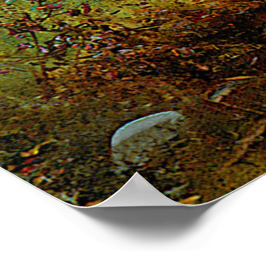  dames en een bruine hond in het bos poster (Hoek)