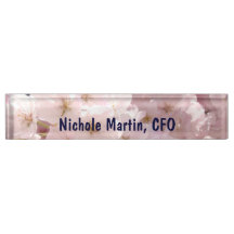 Dames Executive CFO naamplaten Kantoor bureau Bloe