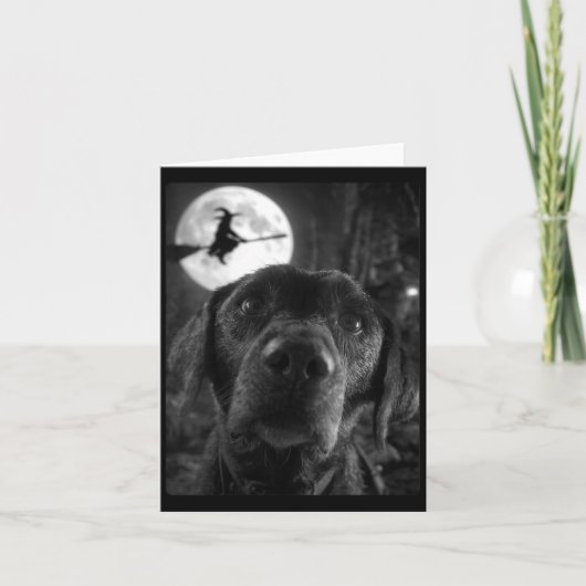 Dames Grappige Labrador Selfie Volle Maan Vliegend Kaart (Voorkant)