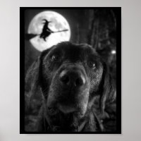 Dames Grappige Labrador Selfie Volle Maan Vliegend