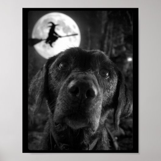 Dames Grappige Labrador Selfie Volle Maan Vliegend Poster (Voorkant)