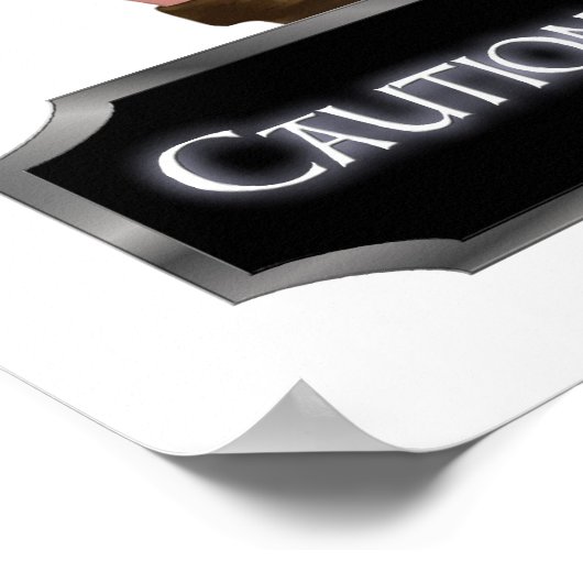 Dames in het syndicaat #5 poster (Hoek)