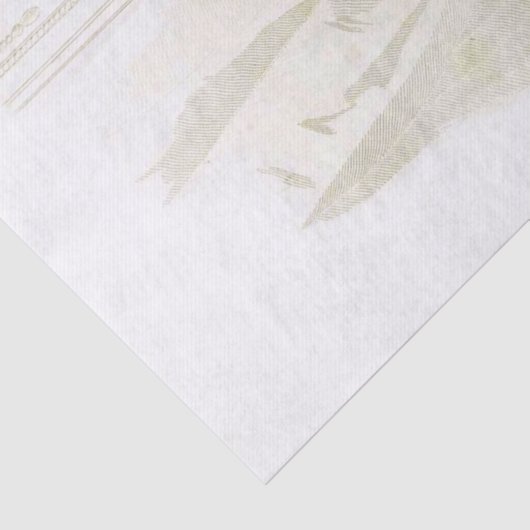  dames in zwart-roze groene ontkoppeling tissuepapier (Detail)