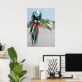 Dames Individuele Tijdrit Nr 3 Flow Versie Poster (Thuiskantoor)