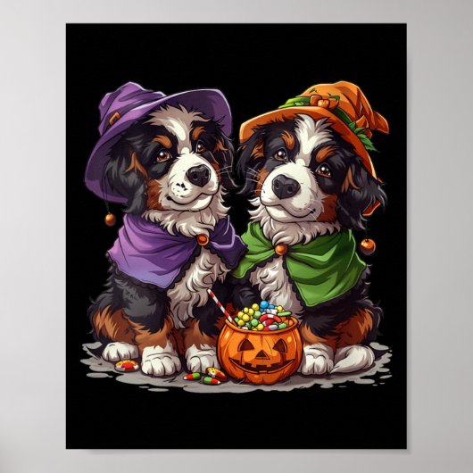 Dames Mooie Berner Sennenhonden Heks Pompoen Poster (Voorkant)
