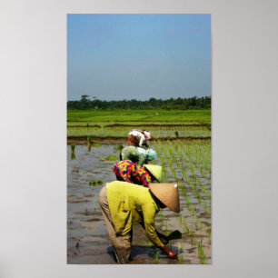 Dames op het werk poster