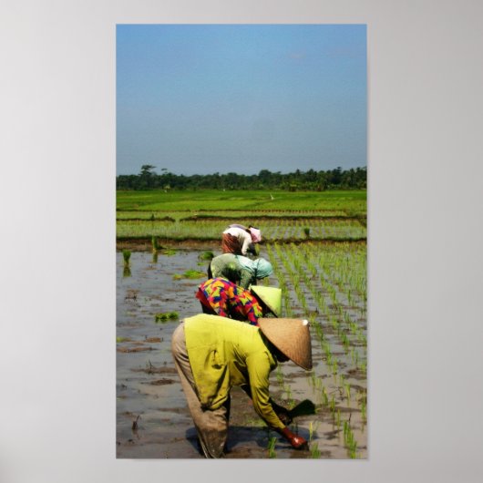 Dames op het werk poster (Voorkant)