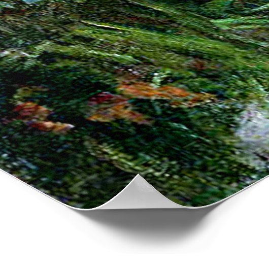 dames roze roze bloemen poster (Hoek)