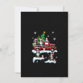 Dames Santa Bernedoodle Op Rode Geruite Pick-up Tr Kaart (Voorkant)