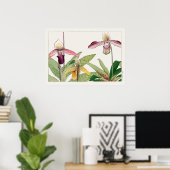 Dame's Slipper Orchid Flower door Tanigami Konan, Poster (Thuiskantoor)