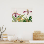 Dame's Slipper Orchid Flower door Tanigami Konan, Poster (Keuken)