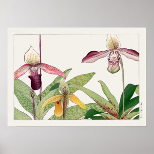 Dame's Slipper Orchid Flower door Tanigami Konan, Poster