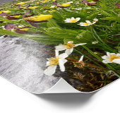 Dame's Slipper Orchid - Foto afdrukken. Foto Afdruk (Hoek)