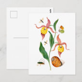 Dame's slipper orchidee -  botanische kunst - briefkaart (Voorkant / Achterkant)