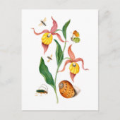Dame's slipper orchidee -  botanische kunst - briefkaart (Voorkant)