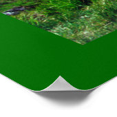 Dames Uitzicht Poster (Hoek)