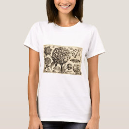 Dames Wenceslas Hollar Peony T-shirt