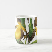 damesglijper (Cypripedium sp.) van Redouté Koffiemok (Center)