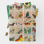 damesinsecten Butterflies insect Blad Muziek bloem Inpakpapier Vel (In situ)