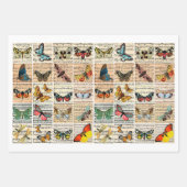 damesinsecten Butterflies insect Blad Muziek bloem Inpakpapier Vel (Voorkant)