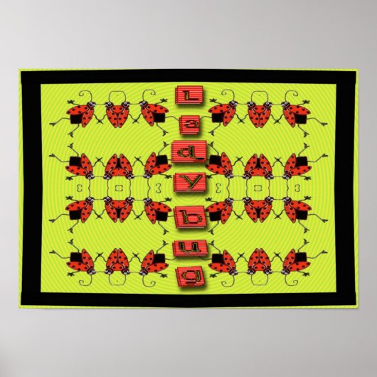 damesinsecten op parade poster (Voorkant)