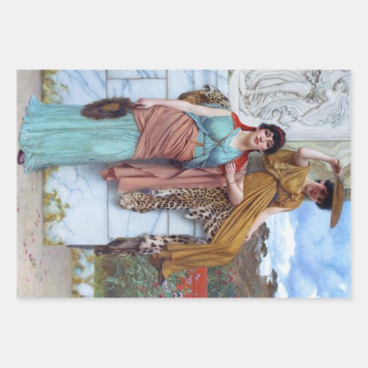  damesontkoppelingspapier inpakpapier vel (Voorkant 2)