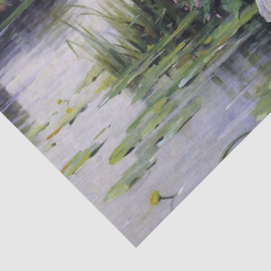  damespapier voor het papierdeeg tissuepapier (Detail)