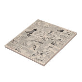  damesschoenencatalogus - Mode uit de jaren 1900 Tegeltje (Zijkant)