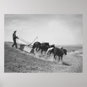 Damgebouw: 1936 poster