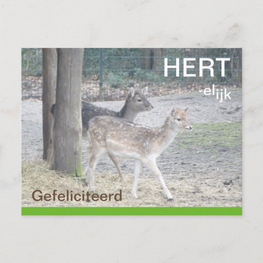 Damherten HERTelijk Gefeliciteerd Briefkaart (Voorkant)