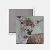 damhertenmagneet magneet (Voorkant / Achterkant)