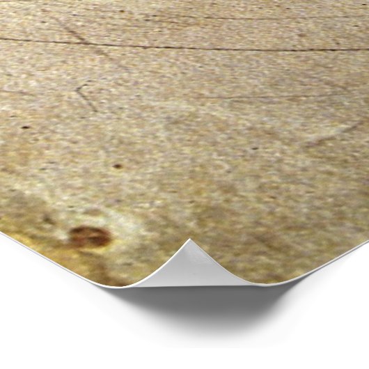 Damned Soul van Michelangelo Poster (Hoek)