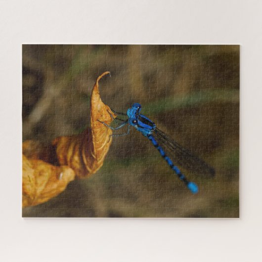 Damsel Fly Jigzaag Puzzle Legpuzzel (Horizontaal)