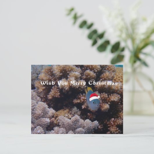 Damselfish Briefkaart (Staand voorkant)