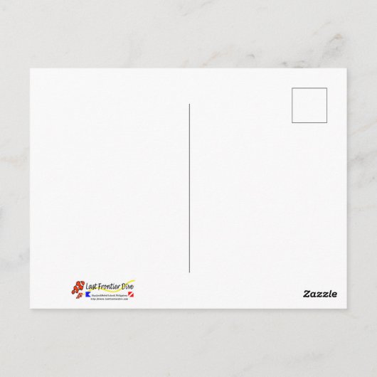 Damselfish Briefkaart (Achterkant)